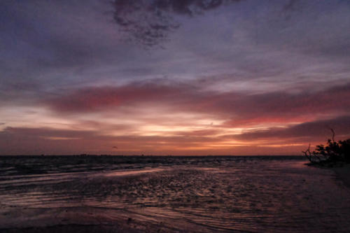 Sanibel Island Sunrise