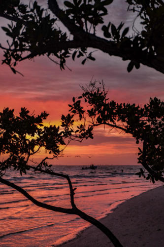 Sanibel Island Sunrise