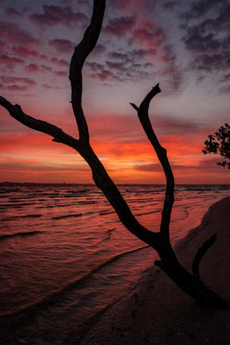 Sanibel Island Sunrise