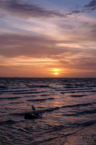 Sanibel Island Sunrise